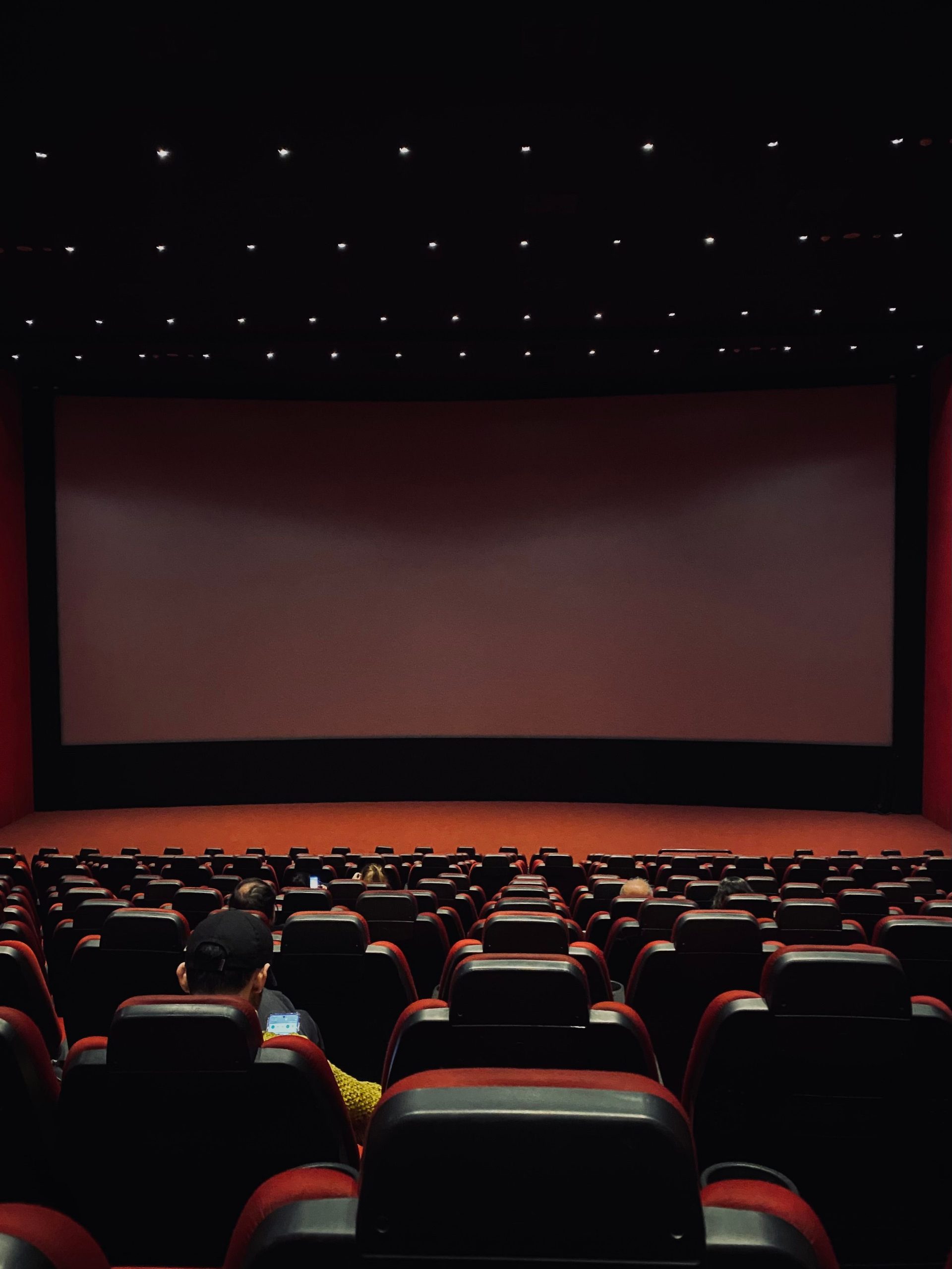 Loisirs et culture à deux pas (cinéma, Rockhal)