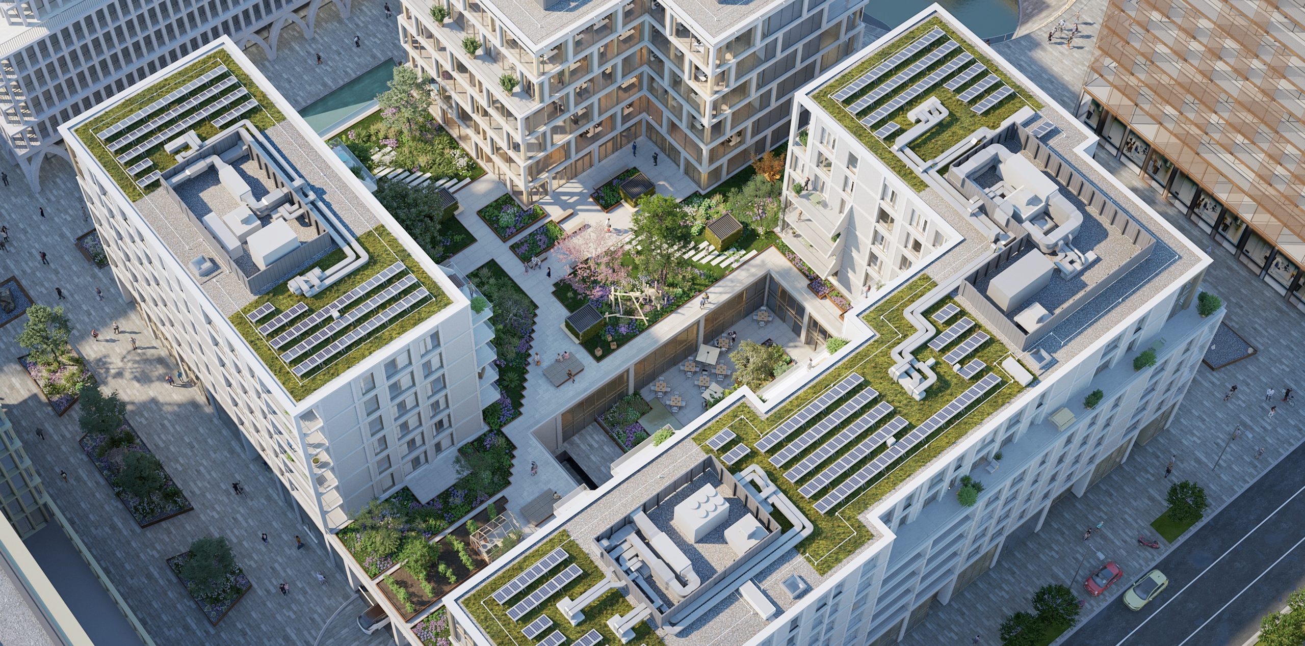Vue aérienne de la composition du projet ROOTS